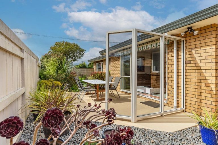 Photo of property in 26 Duke Street, Levin, 5510