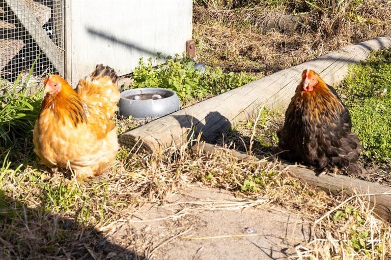 Photo of property in 4 March Street, Spring Creek, 7202