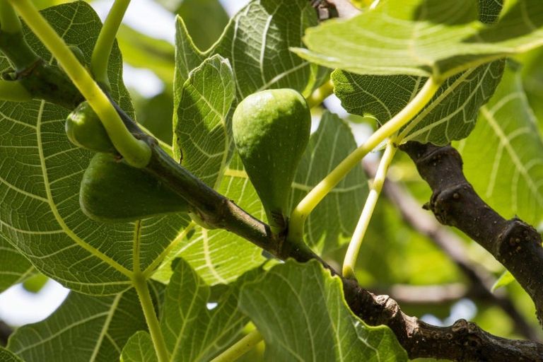 Photo of property in 10 Richmal Street, Waihi, 3610