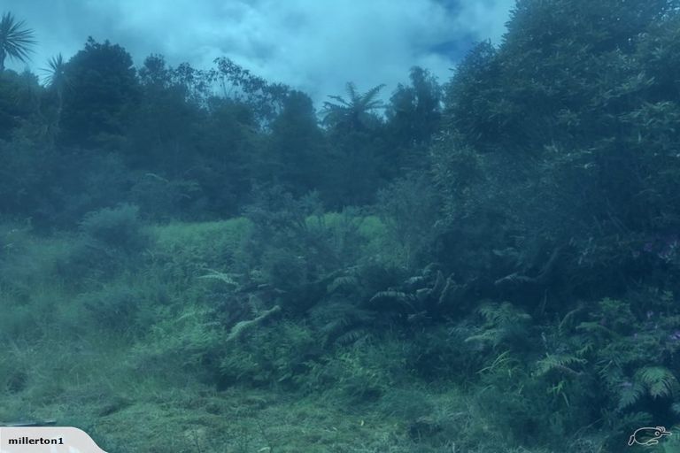 Photo of property in 413 Calliope Street, Millerton, Westport, 7891