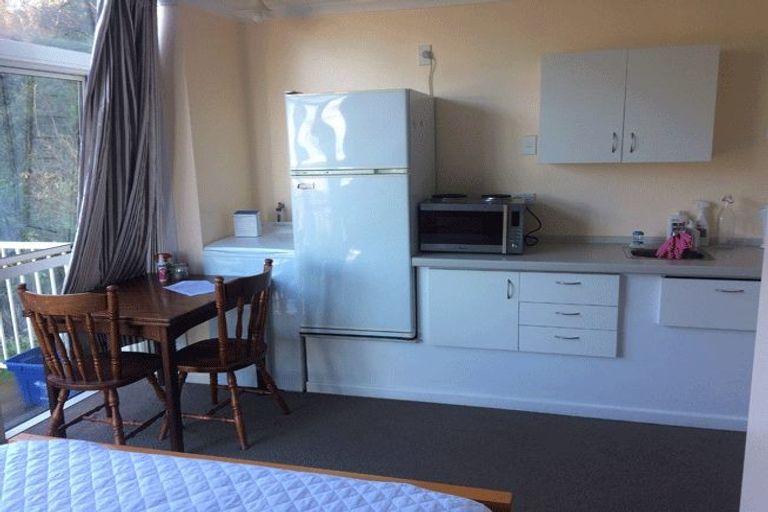 Photo of property in 20 Lachlan Avenue, North Dunedin, Dunedin, 9016