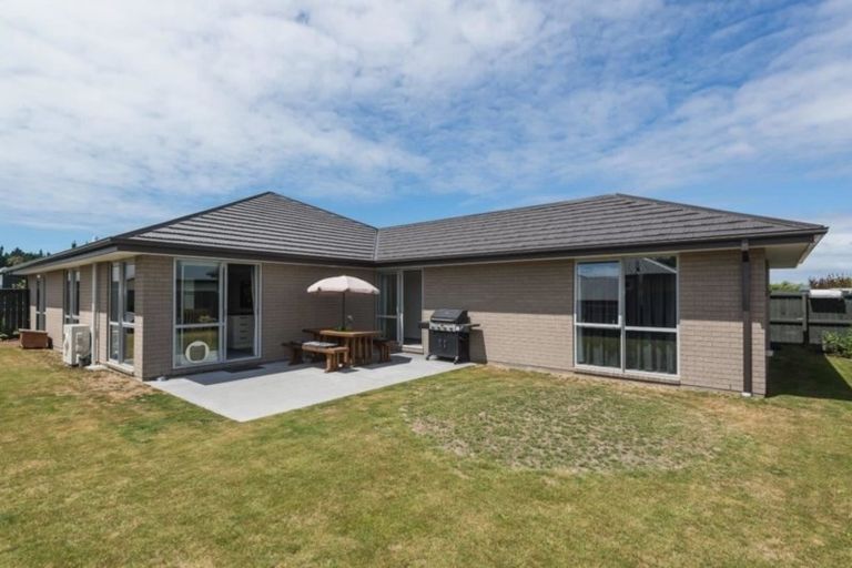 Photo of property in 17 Te Whariki Street, Marshland, Christchurch, 8083