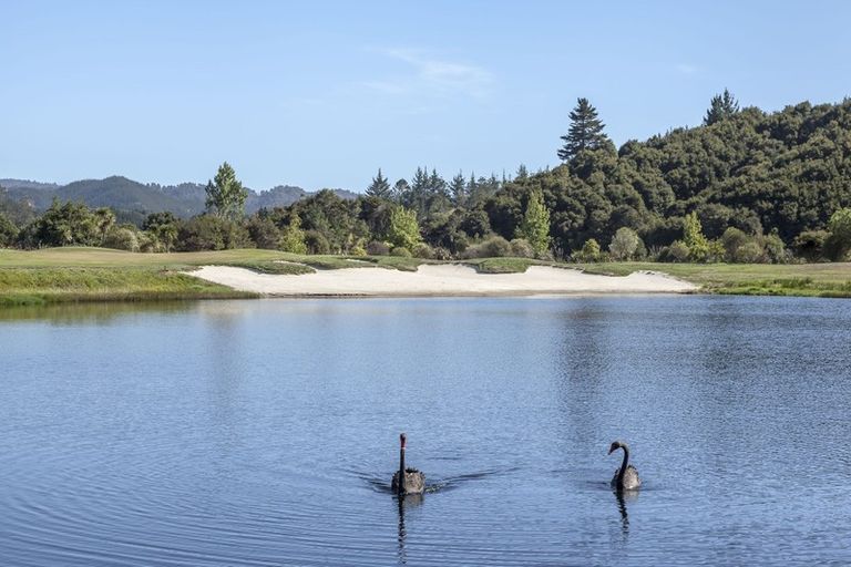 Photo of property in 45 Pinehurst Drive, Pauanui, Hikuai, 3579