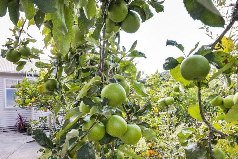 Photo of property in 127 North Street, Ashhurst, 4810