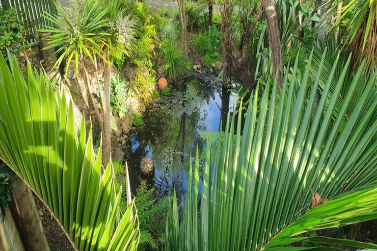 Photo of property in 279 Motutara Road, Muriwai, Waimauku, 0881