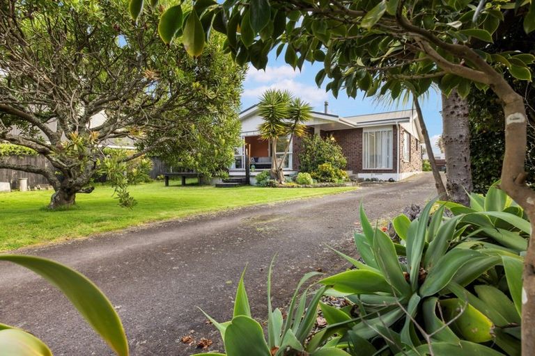 Photo of property in 42 Oceanbeach Road, Mount Maunganui, 3116
