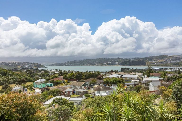 Photo of property in 10 Tau Grove, Takapuwahia, Porirua, 5022