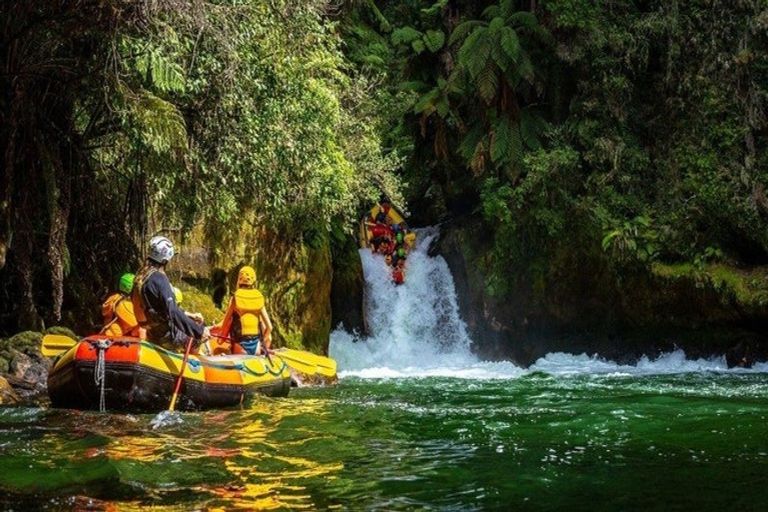 Photo of property in 17 Kohekohe Drive, Owhata, Rotorua, 3010