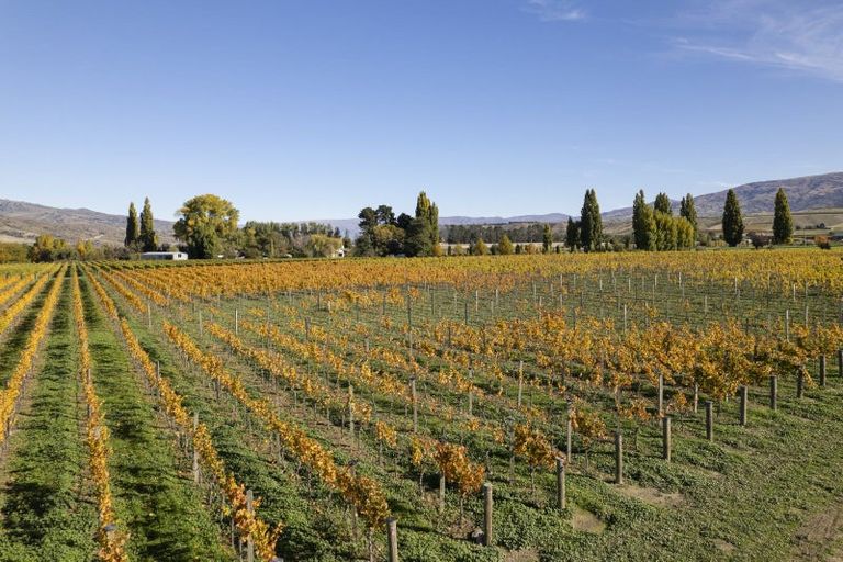 Photo of property in 1034 Luggate-cromwell Road, Mount Pisa, Cromwell, 9383