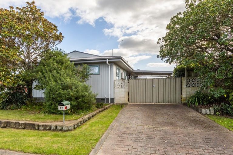 Photo of property in 42 Norfolk Street, Tamatea, Napier, 4112
