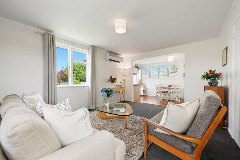 Photo of property in 124 Clarkin Road, Fairfield, Hamilton, 3214