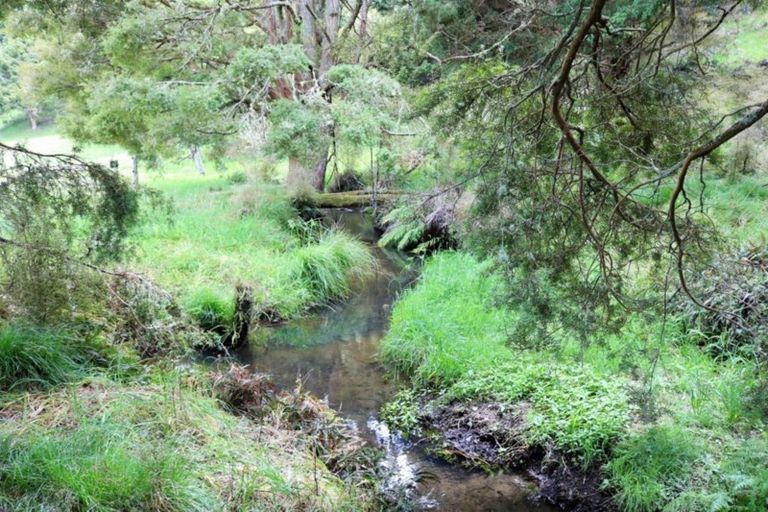 Photo of property in 1008 Tangowahine Valley Road, Tangowahine, Dargaville, 0372