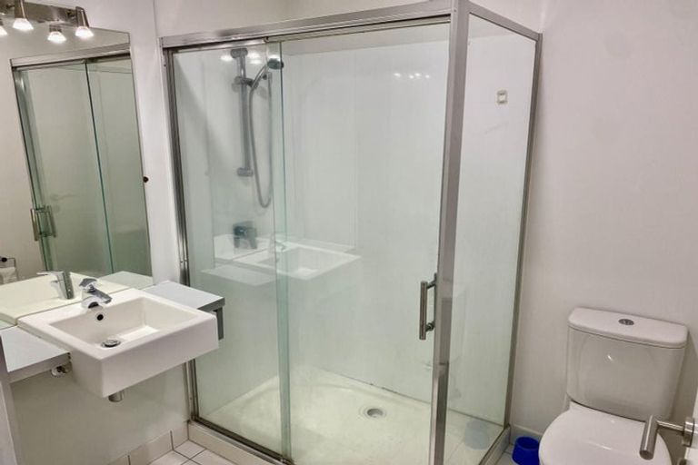 Photo of property in Luna Apartments, 1c/16 Burton Street, Grafton, Auckland, 1010