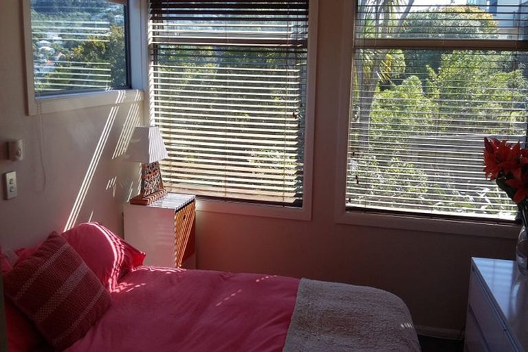 Photo of property in 40a Overtoun Terrace, Hataitai, Wellington, 6021