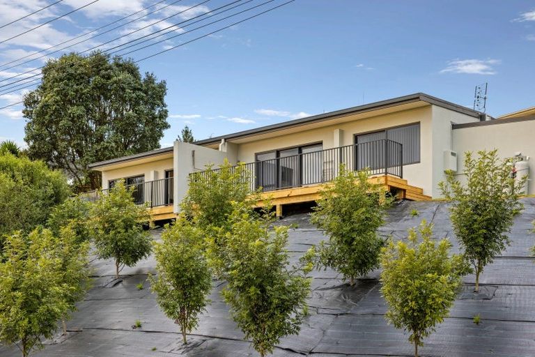 Photo of property in 4b Scott Street, Gate Pa, Tauranga, 3112