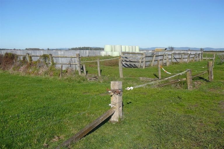 Photo of property in 560 Hauraki Road, Turua, 3574