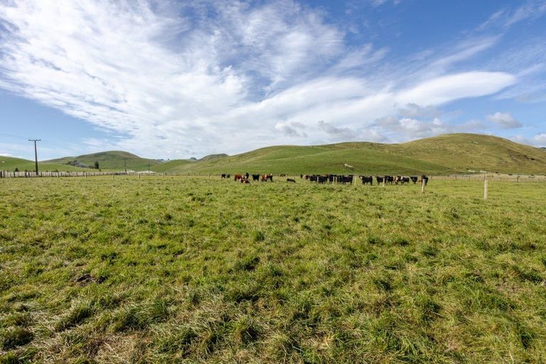 Photo of property in 667 Waitahora Valley Road, Waitahora, Dannevirke, 4971