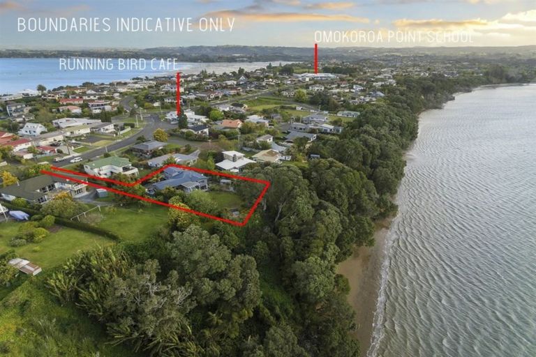Photo of property in 21 Mcdonnell Street, Omokoroa, 3114