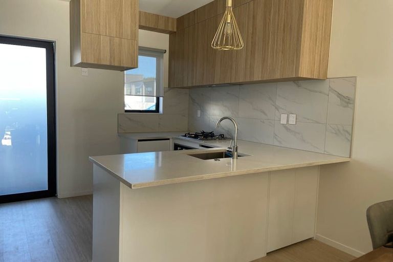 Photo of property in 17 Treeline Lane, Flat Bush, Auckland, 2019