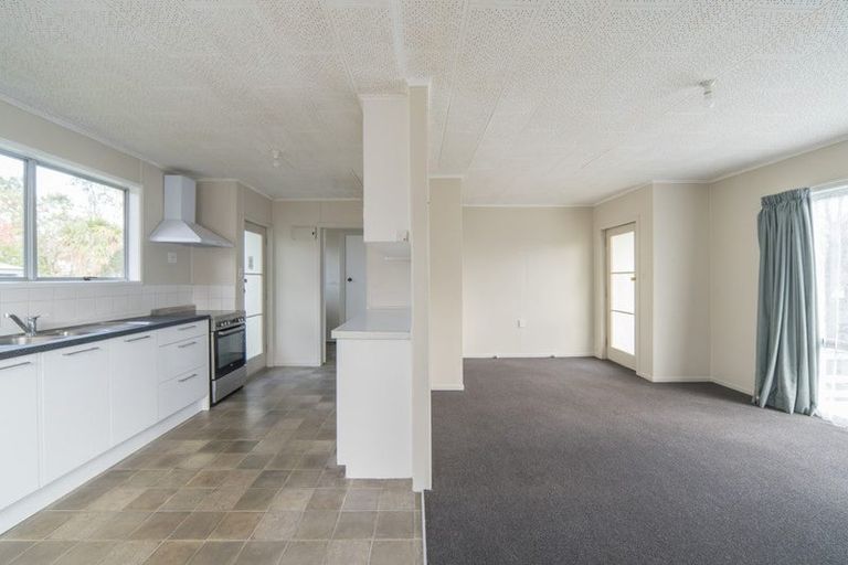 Photo of property in 163 Galloway Street, Hamilton East, Hamilton, 3216