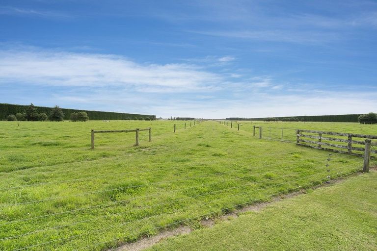 Photo of property in 1384 Wards Road, Charing Cross, Christchurch, 7671