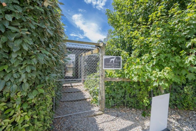 Photo of property in 1981 Omakau Chatto Ck Road, Chatto Creek, Alexandra, 9393