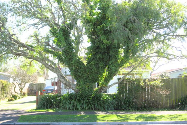 Photo of property in 65 Wellington Street, Hamilton East, Hamilton, 3216