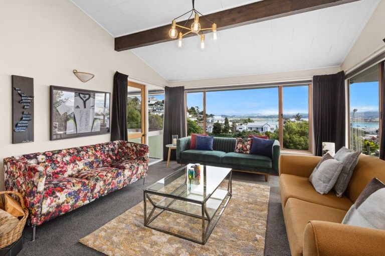 Photo of property in 8 Denholm Road, Hospital Hill, Napier, 4110