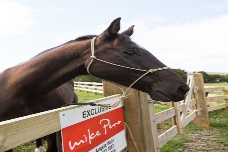 Photo of property in 1149b Whangaripo Valley Road, Whangaripo, Wellsford, 0972