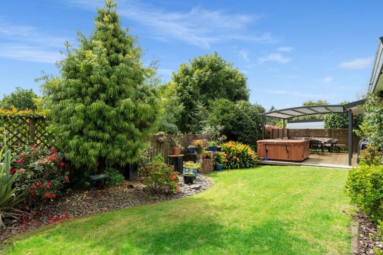 Photo of property in 55 Dunlop Road, Te Puke, 3119