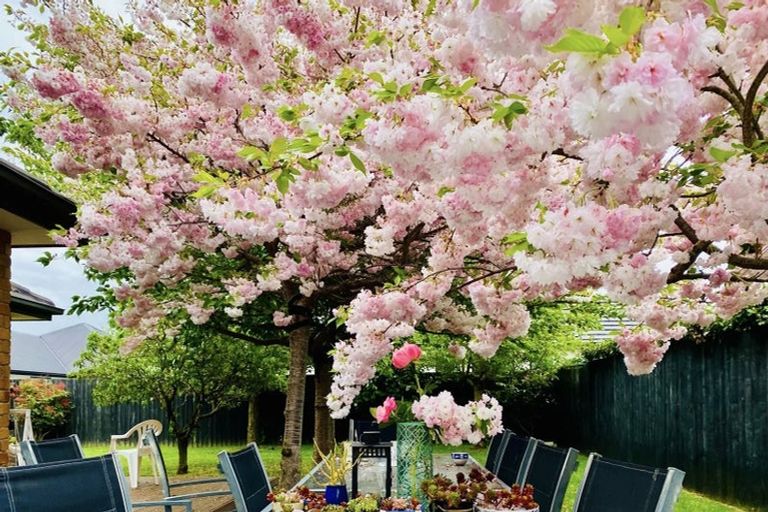 Photo of property in 24 Date Crescent, Aidanfield, Christchurch, 8025