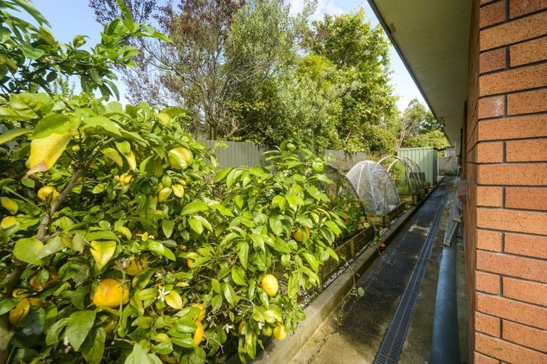 Photo of property in 87 Mcgregor Street, Milson, Palmerston North, 4414