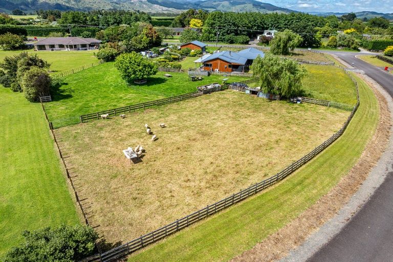 Photo of property in 4 Pukematawai Lane, Levin, 5571