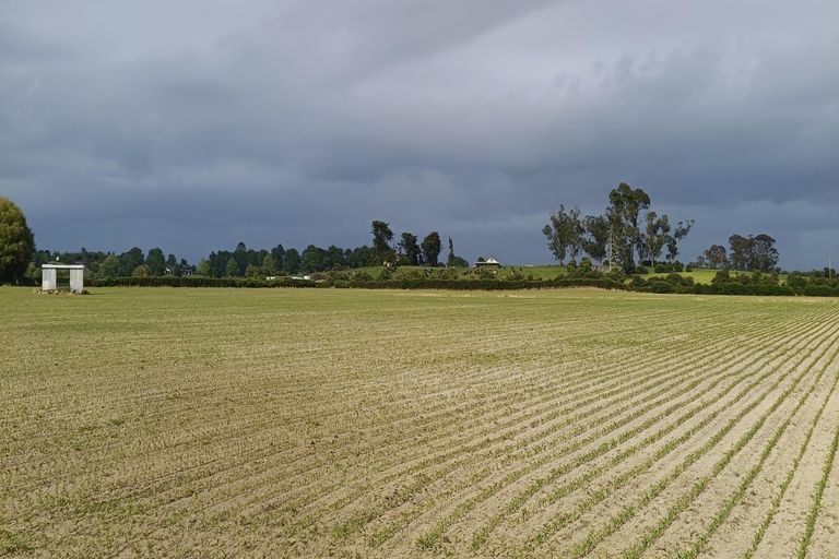 Photo of property in 53 Friedlander Road, Eureka, Hamilton, 3287