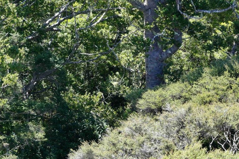 Photo of property in 113a Taemaro Road, Hihi, Mangonui, 0494