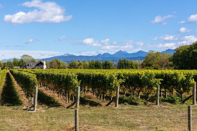 Photo of property in 5 Brook Street, Renwick, 7204