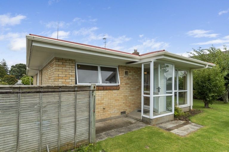 Photo of property in 117 Fourteenth Avenue, Tauranga South, Tauranga, 3112