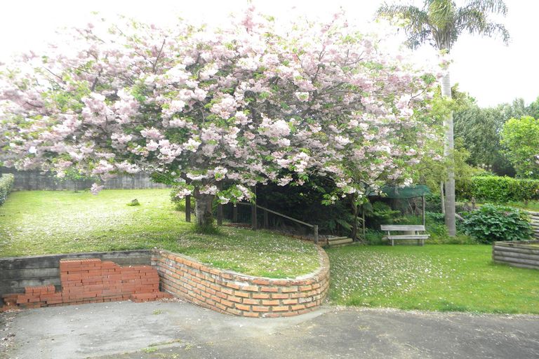 Photo of property in 217 Tui Crescent, Te Awamutu, 3800