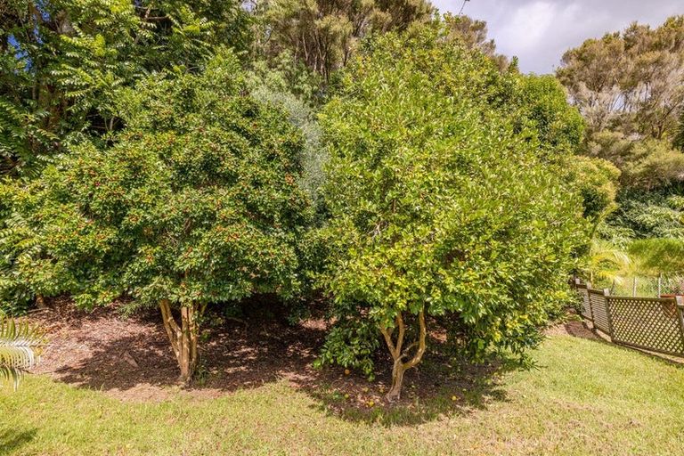 Photo of property in 105 Yorke Road, Haruru, 0204