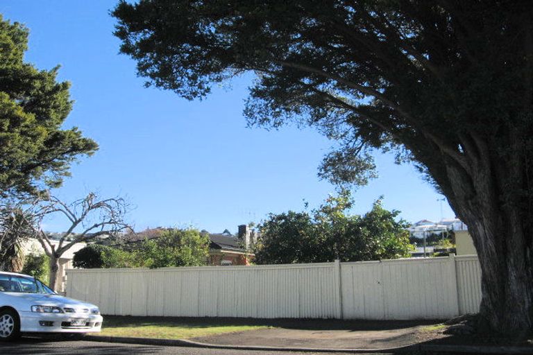 Photo of property in 4 Carnell Street, Napier South, Napier, 4110