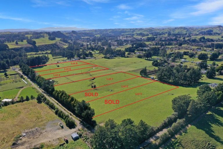Photo of property in 45 Marchant Street, Eketahuna, 4900