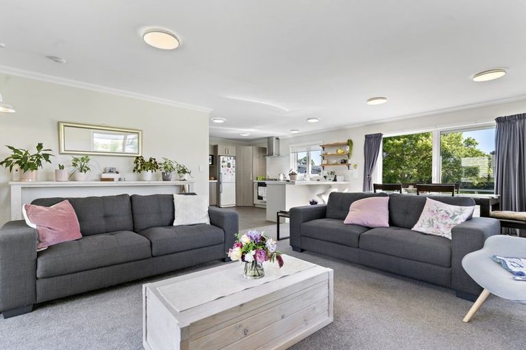 Photo of property in 57 Daniell Street, Solway, Masterton, 5810