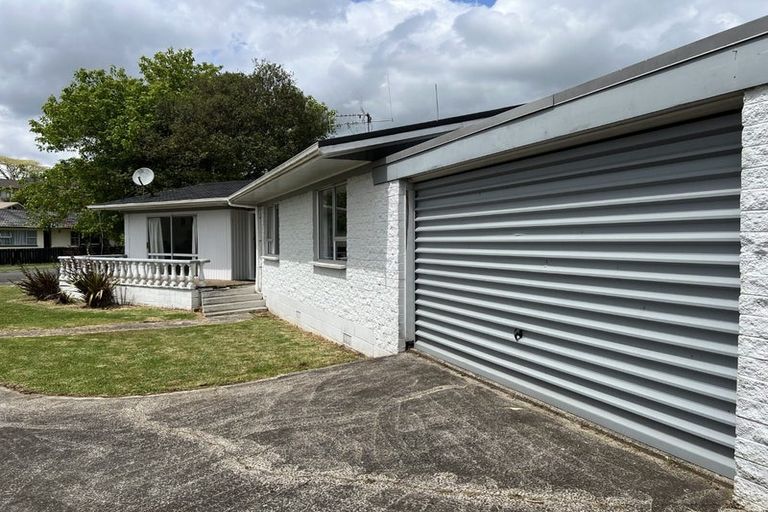 Photo of property in 36 Hazelwood Avenue, Dinsdale, Hamilton, 3204
