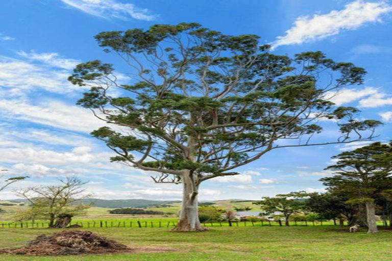 Photo of property in 6b Tangowahine Valley Road, Tangowahine, Dargaville, 0372