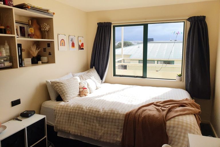 Photo of property in Te Awhina Apartments, 1/22 Sussex Street, Mount Cook, Wellington, 6021