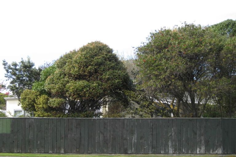 Photo of property in 56 Caius Avenue, Gonville, Whanganui, 4501