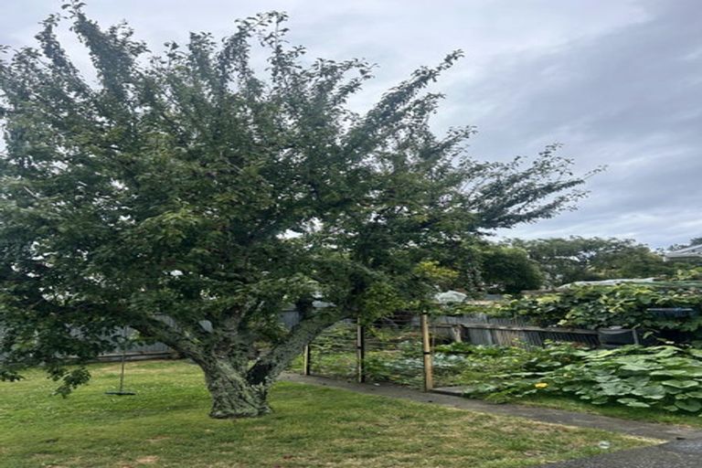 Photo of property in 15 May Street, Gonville, Whanganui, 4501