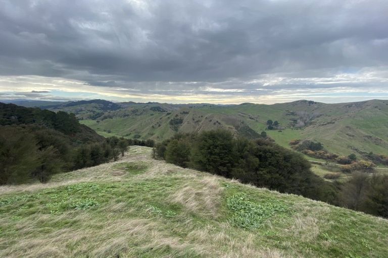 Photo of property in 1247 Wharekopae Road, Ngatapa, Gisborne, 4072