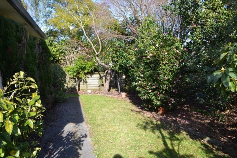 Photo of property in 1 Barnsley Close, Bethlehem, Tauranga, 3110