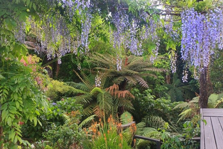 Photo of property in 480b Youngson Road, Whakamarama, 3179